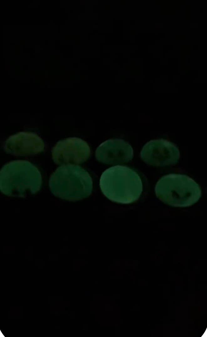 Viral Glow in the dark Squish