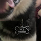 Custom Dog & Cat Tags