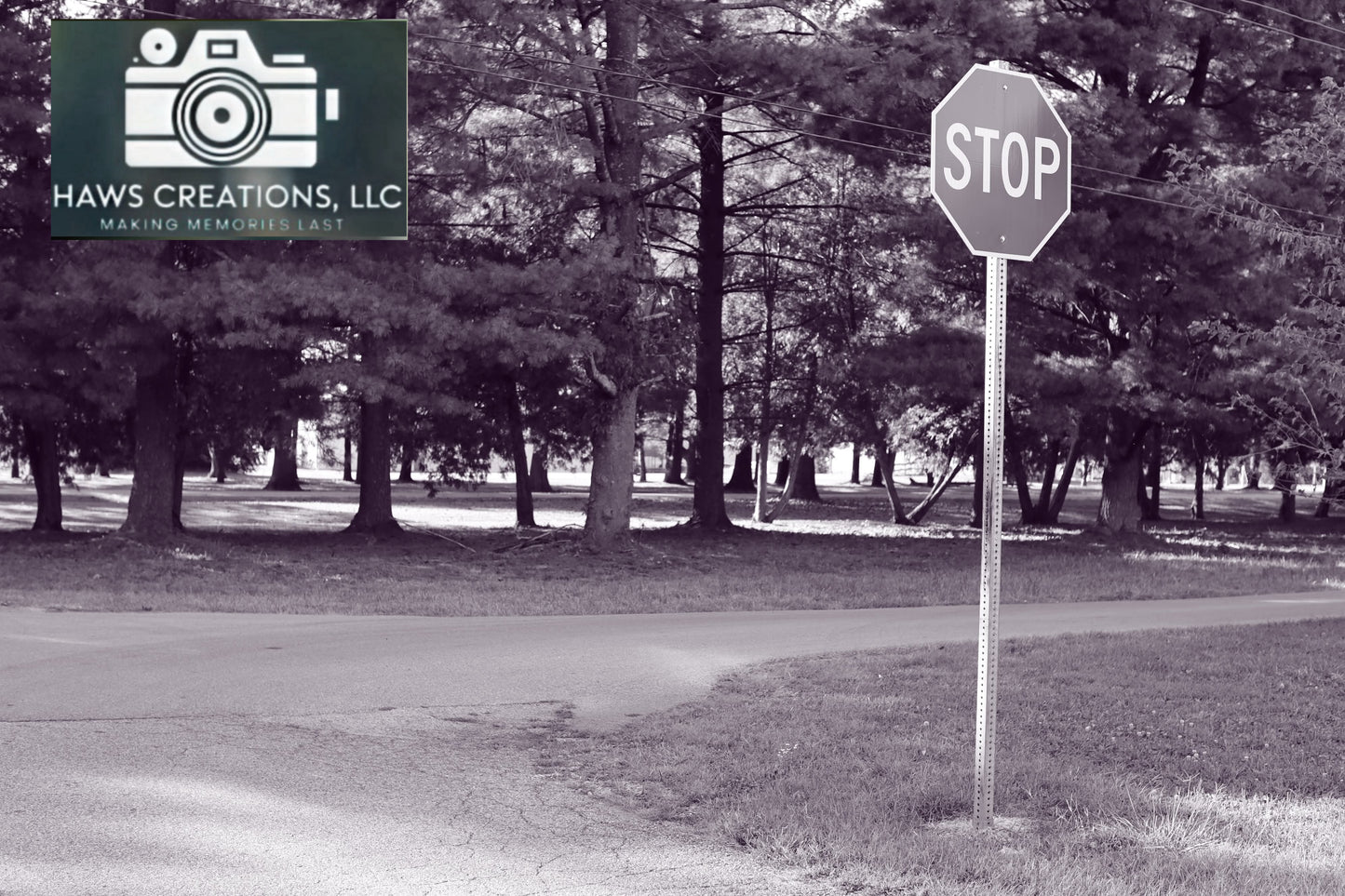 Haws Creations Photography