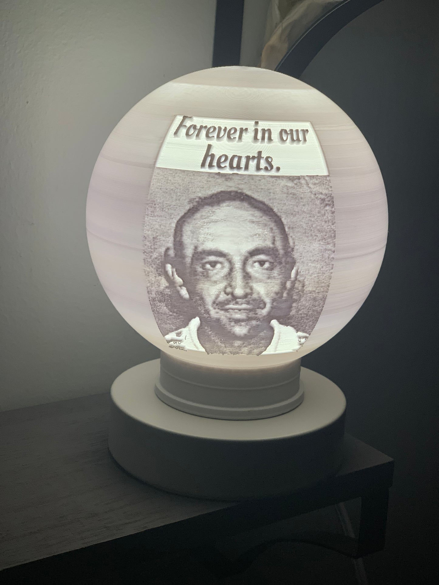 Black Friday Sale 11-20-24 to 12-07-24 Custom Photo Lamp Globes (Litho)