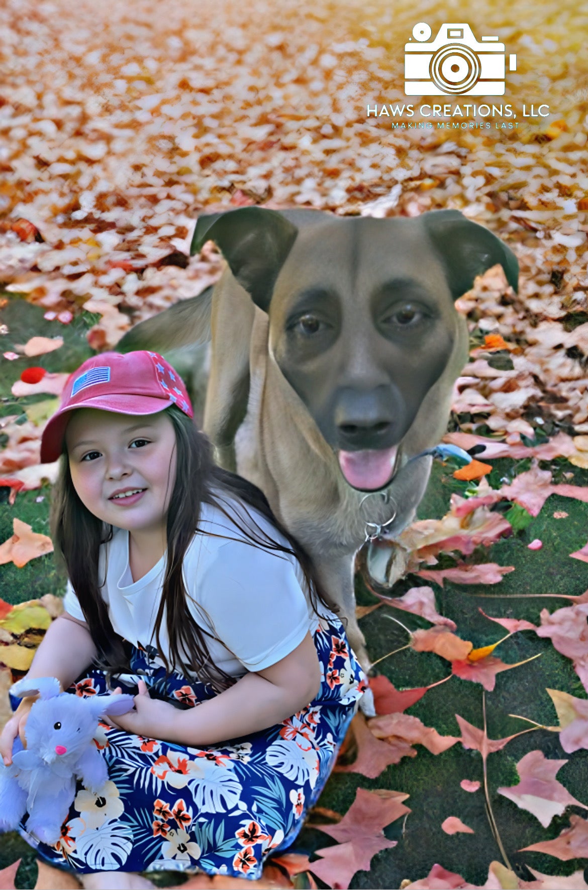 Haws Creations Photography